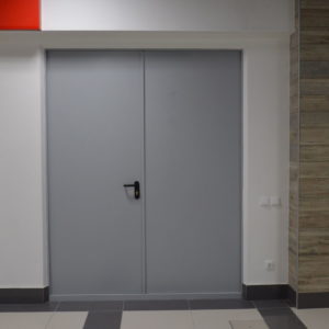 Противопожарная дверь 2300×1000 / серия FRM55413